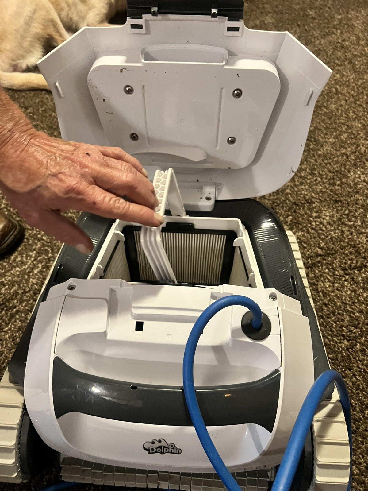 Dolphin E10 Automatic Robotic Pool Vacuum Cleaner, Active Scrubber Brush,