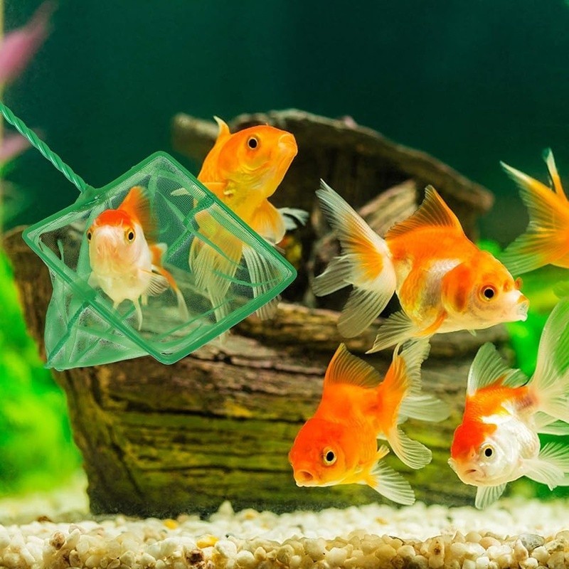 3 Pack Fish Net Soft Nylon Mesh Aquatic Pet Handling Debris Skimmer Helper New
