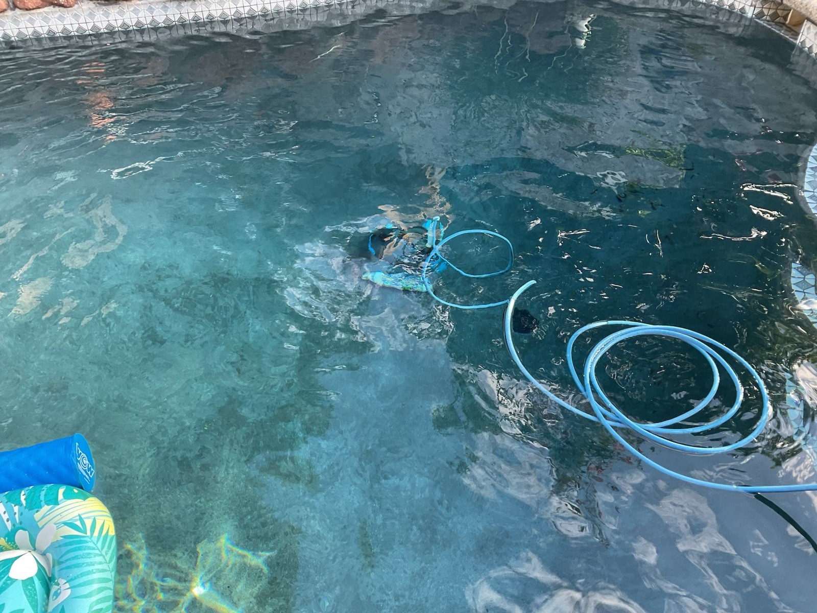 Dolphin Premier Pool Robotic Pool Vacuum