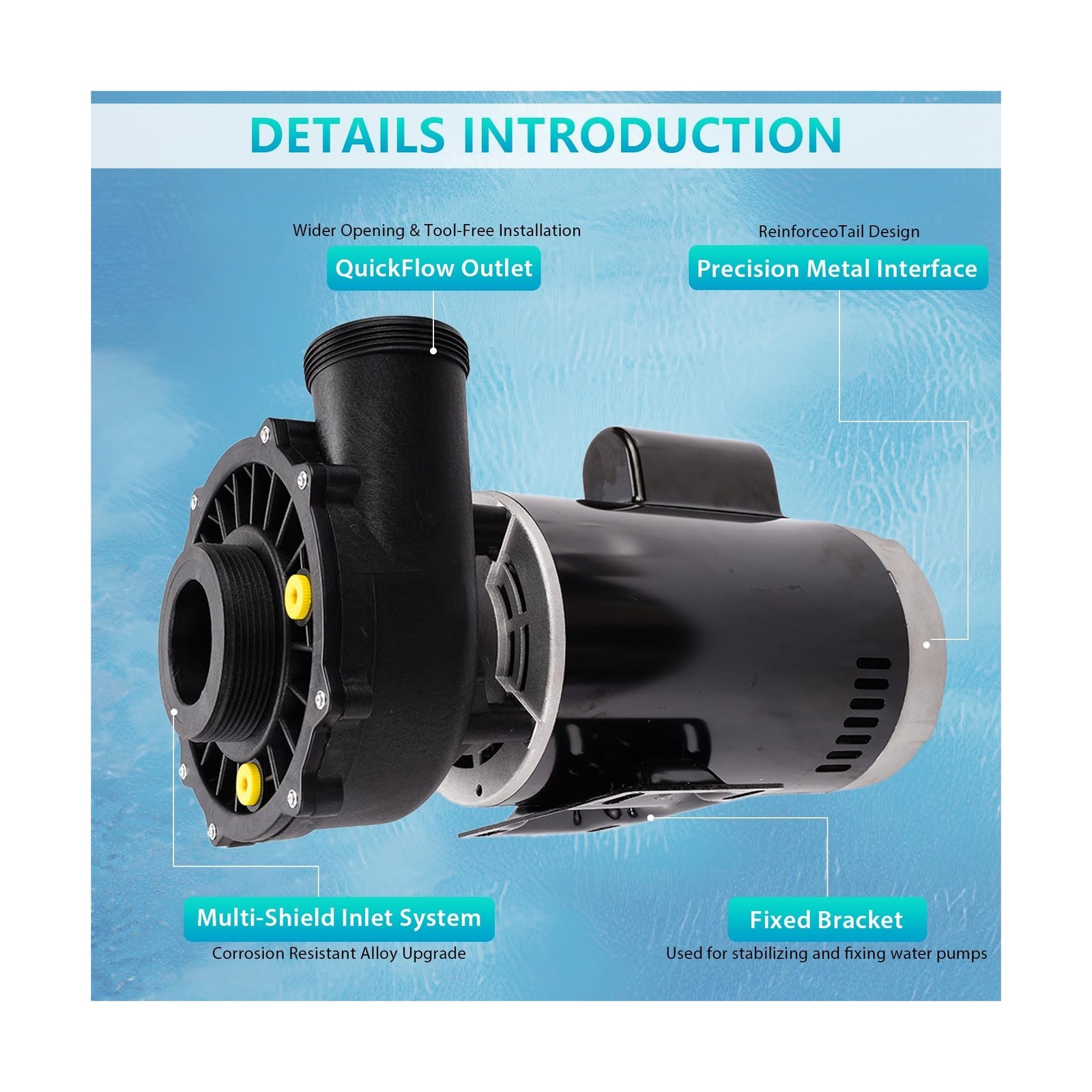3721621-13 Spa Pump Hot Tub Pump 4 HP 230V 2-Speed Plumbing Executive 56