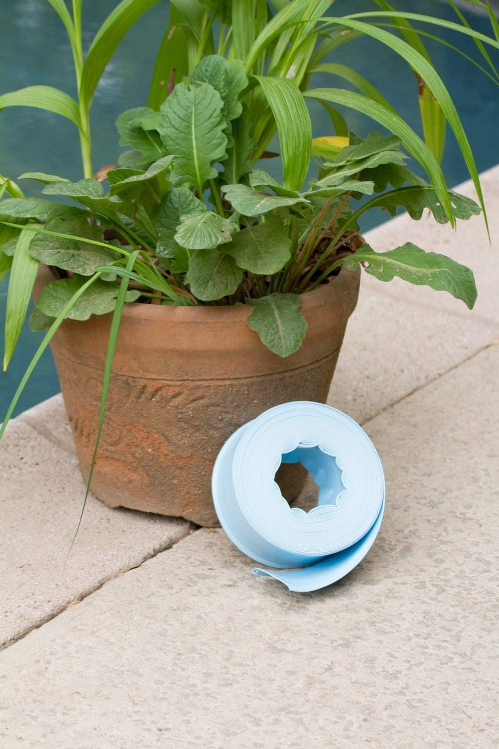 Flexible 25-Foot Pool Backwash Hose – Ideal for In-Ground and Above-Ground Pools