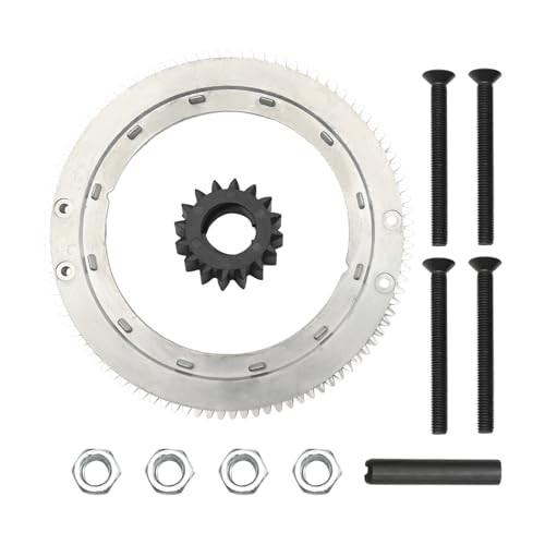 696537 Flywheel Ring Gear Kit, Replacement for BS 19K400 19E400 19F400 19G400