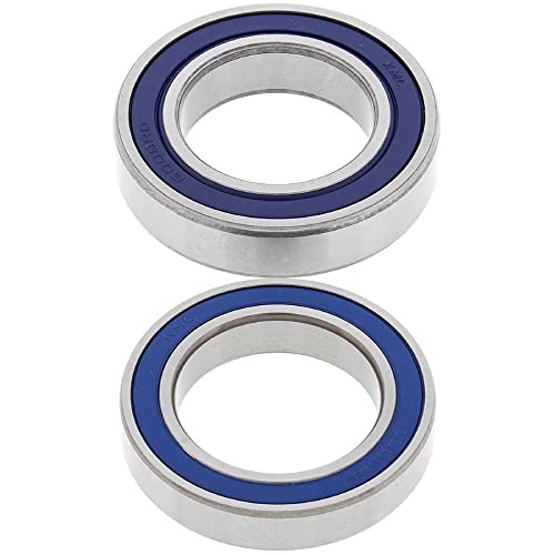 Racing 25-1146 Rear Wheel Bearing Kit Compatible with/Replacement for