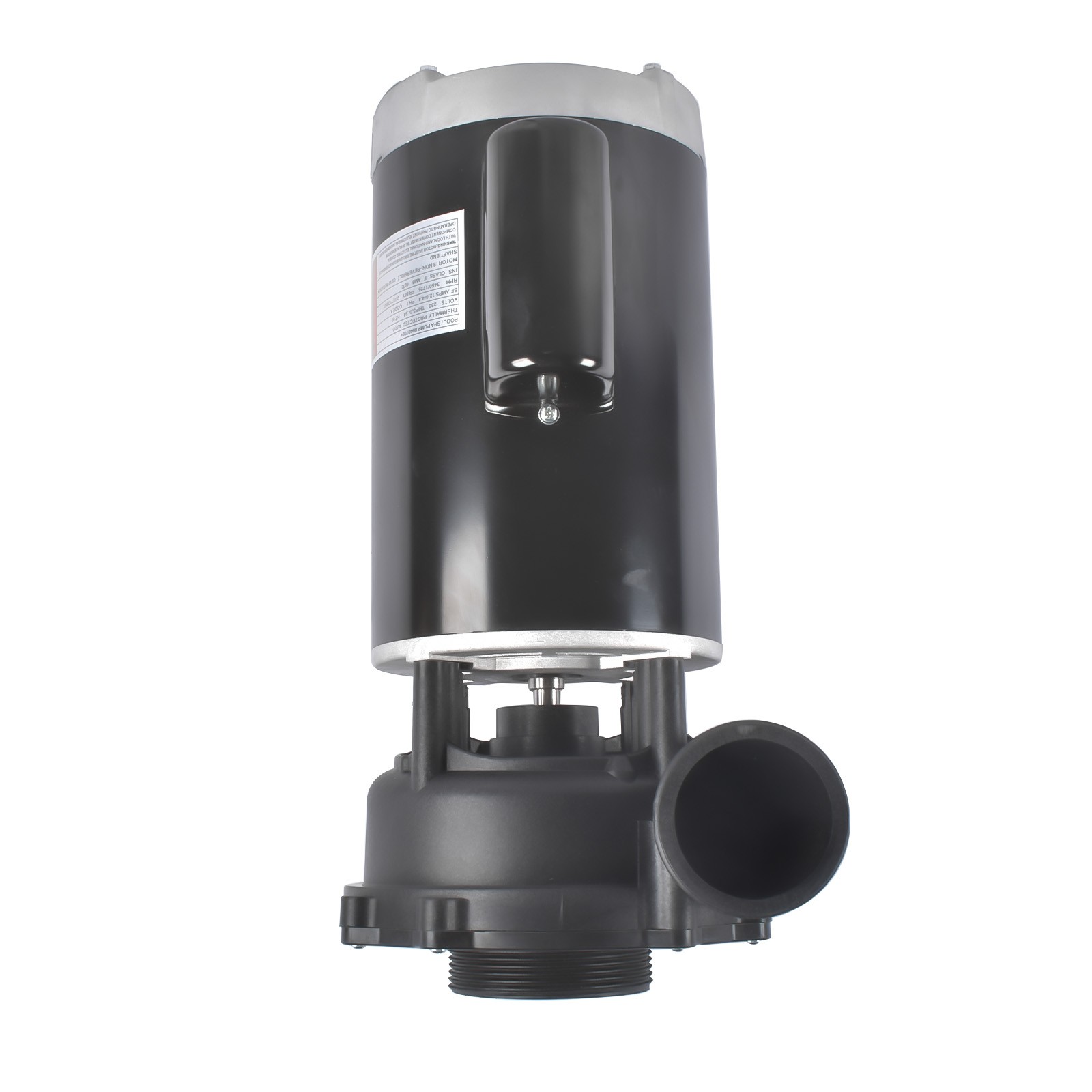 4 HP 230V 2-Speed Executive 56 Frame Spa Pump Black Side Discharge 3721621-13