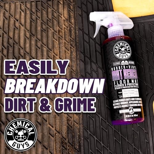 HOL70016 Heavy Duty Floor Mat Cleaning Kit with Mat Renew 16 Fl Oz Pack of 1