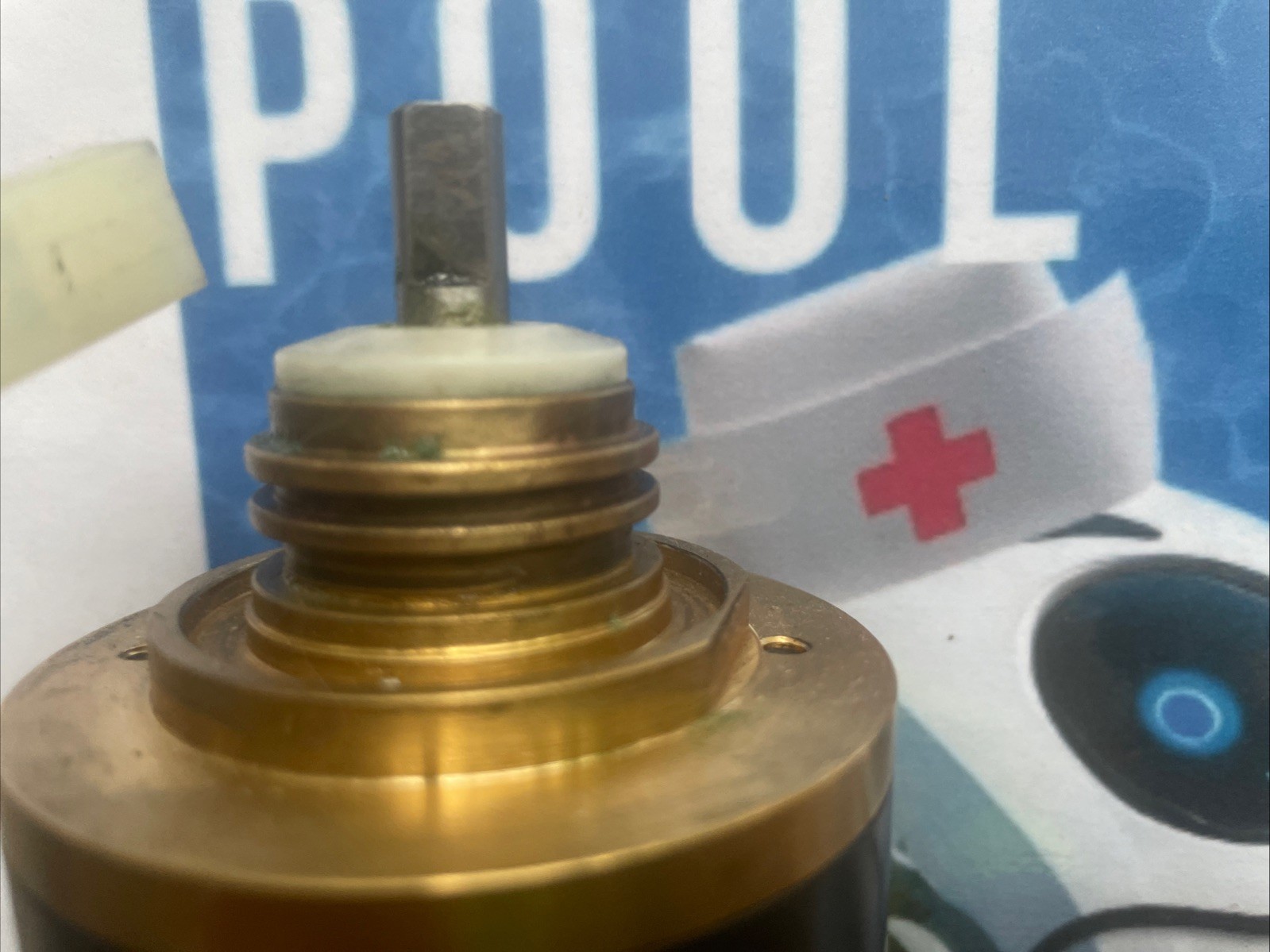 $100 REBUILT 1 YEAR MAYTRONICS 5500028 63ZY100-18 DOLPHIN IMPELLER MOTOR PUMP