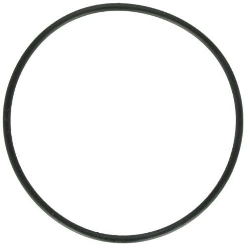 1132+ Zodiac Jandy Lid O-Ring