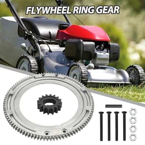 696537 Flywheel Ring Gear Kit, Replacement for BS 19K400 19E400 19F400 19G400