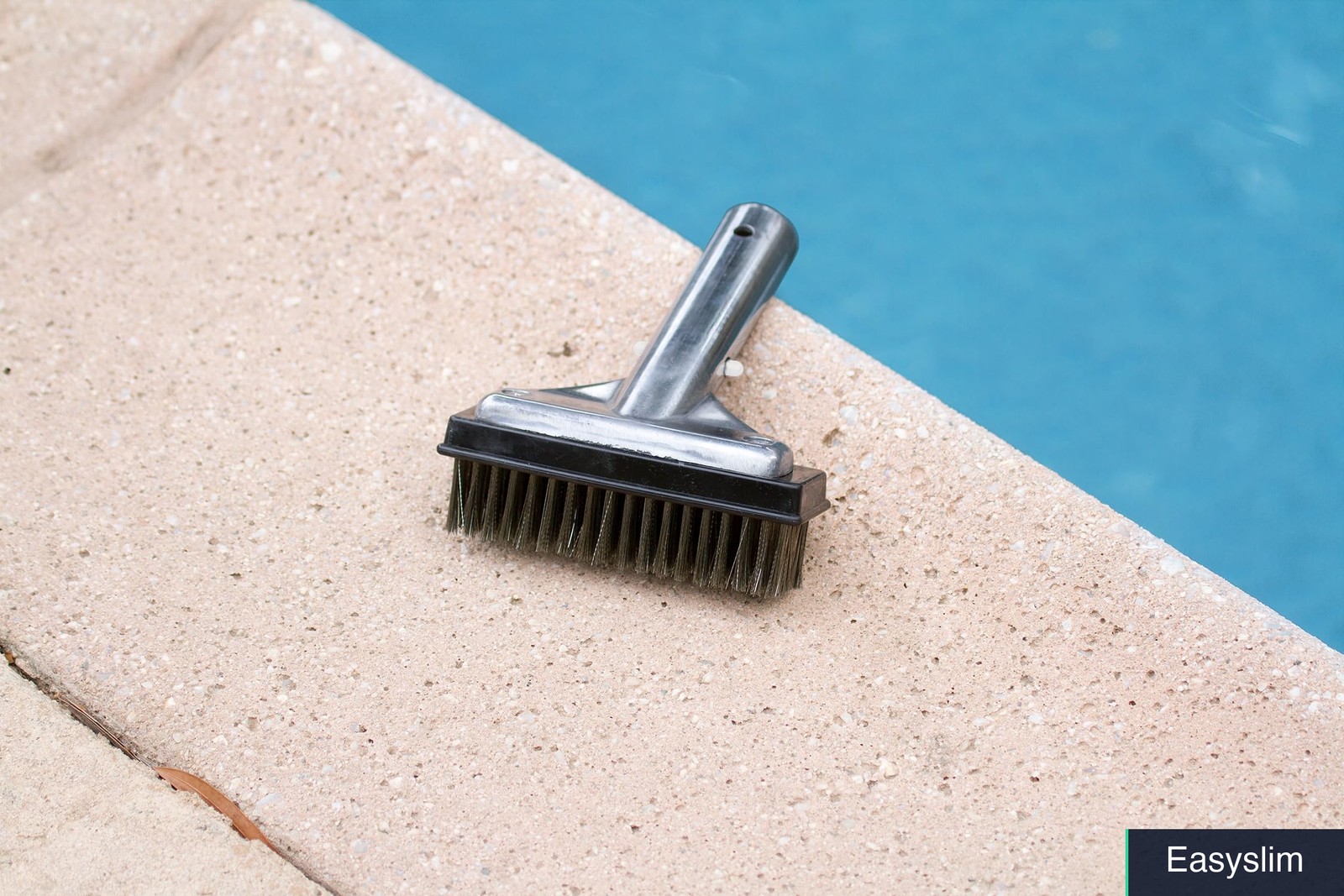Pool Algae Detail Brush 5 Inch Stainless Steel Aluminum Heavy Duty