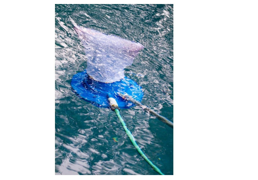 Universal Sucker Leaf Vacuum Catcher Sweeper Cleaner Swimming Pool Skimmer Bag