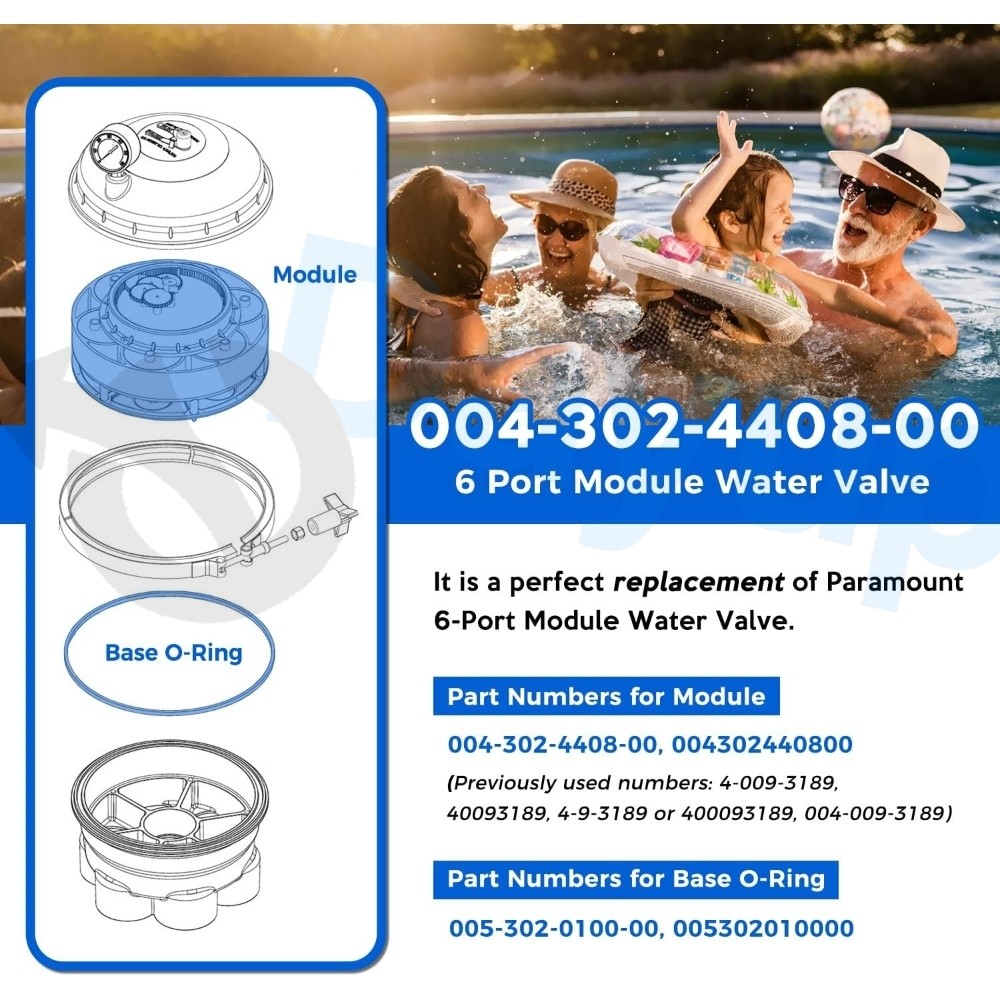 For Paramount 004-302-4408-00 In Floor Pool 6 Port Module with Valve Shell Oring