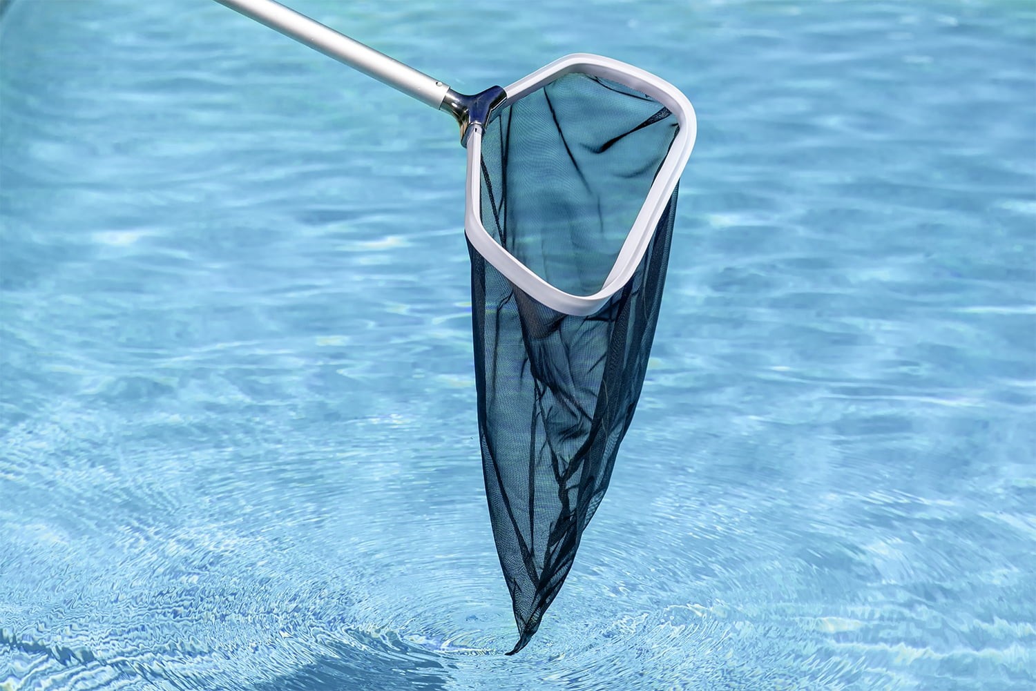 Premier Swimming Pool Leaf Rake – Commercial Collection