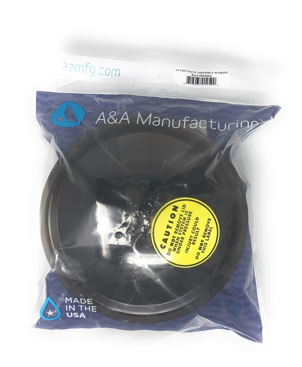 Low Profile T-Valve Lid Assembly w/ O-Ring – Pentair In-Floor (A&A) -230045