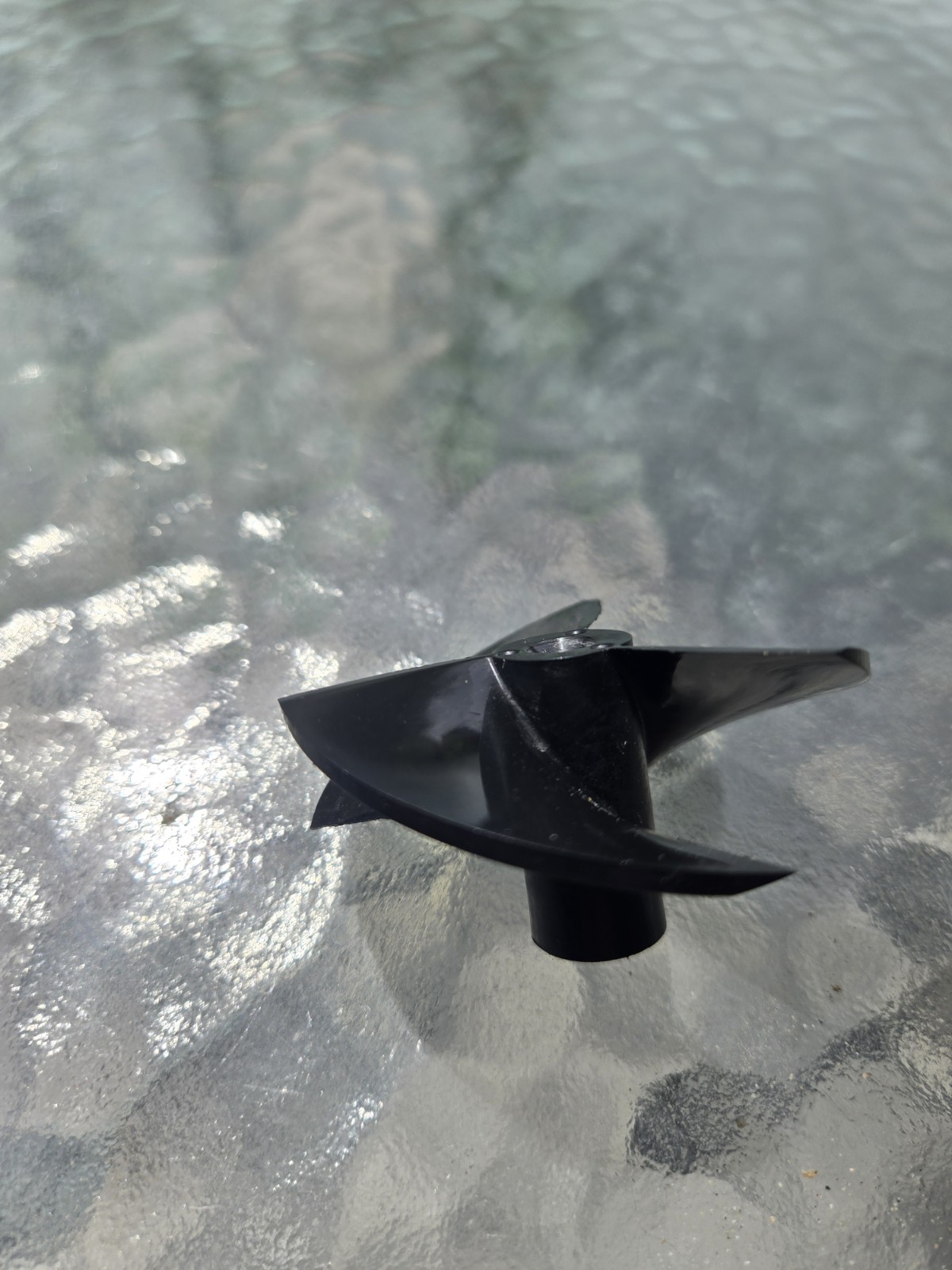 Dolphin Genuine Replacement Part – Impeller with Screw (Black) for Pool Cleaners