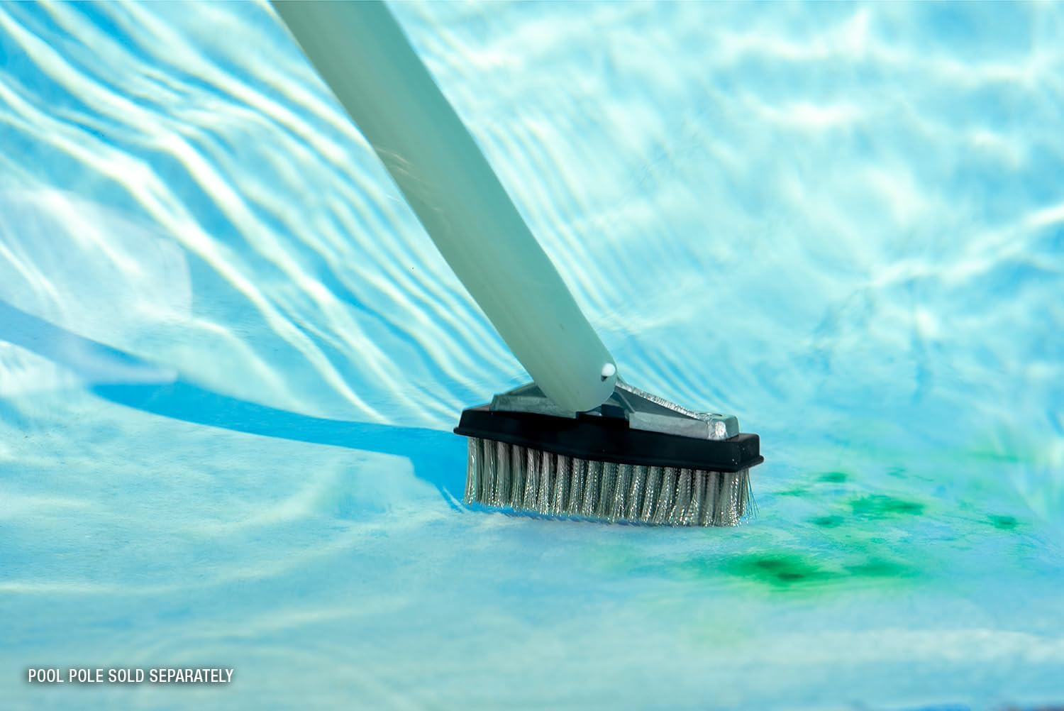 20178 5-Inch Aluminum-Back Swimming Pool Algae Brush with Stainless