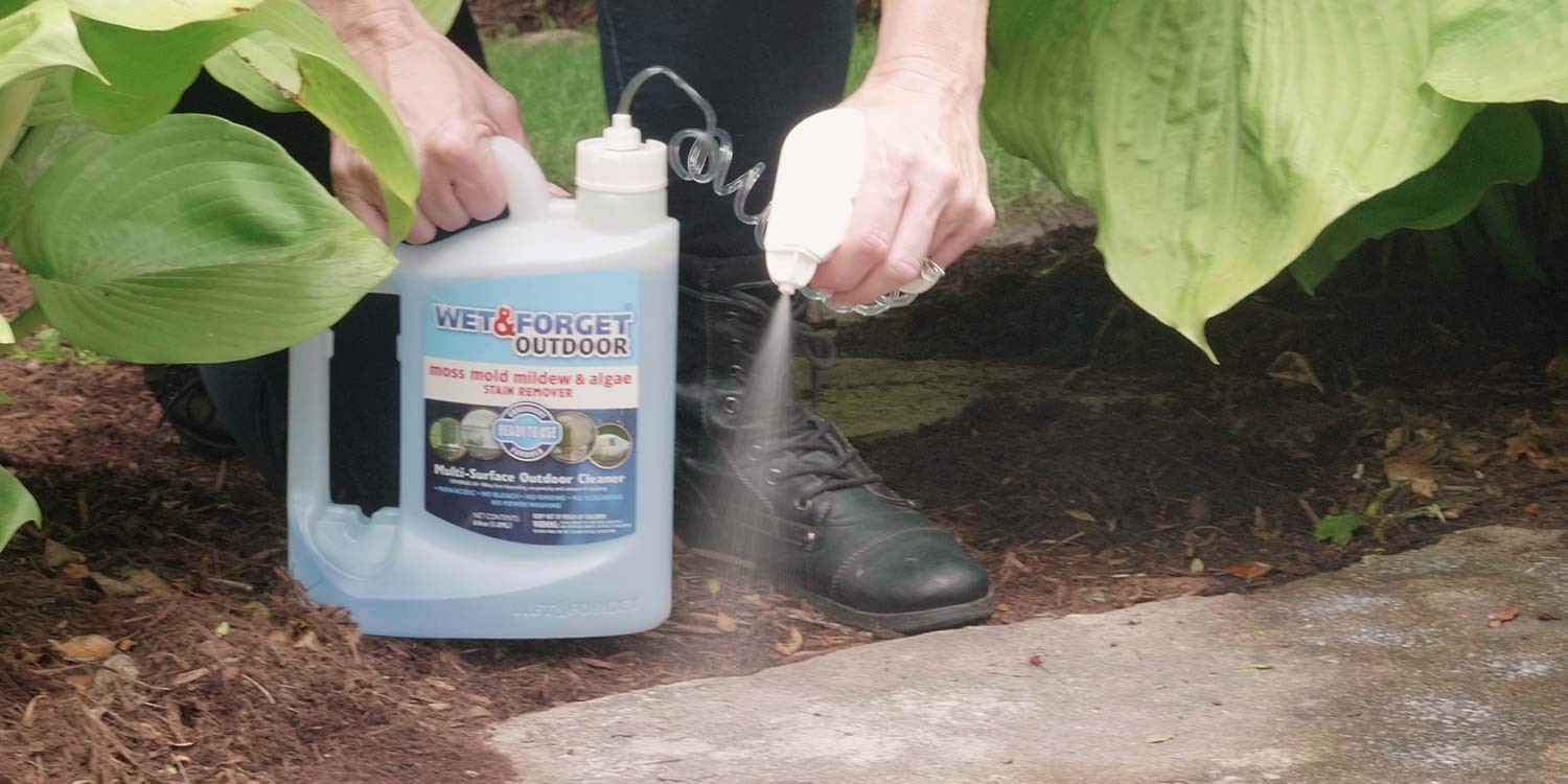 64oz Multi-Surface Cleaner – Effortless Moss & Algae Stain Remover for Outdoors