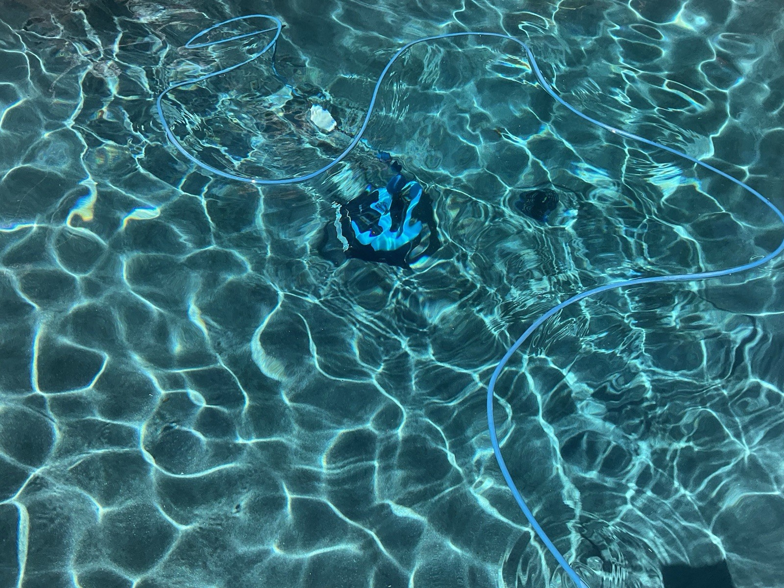 Dolphin Nautilus CC Plus Robotic Pool Vacuum Pool Cleaner Pool Sweep…