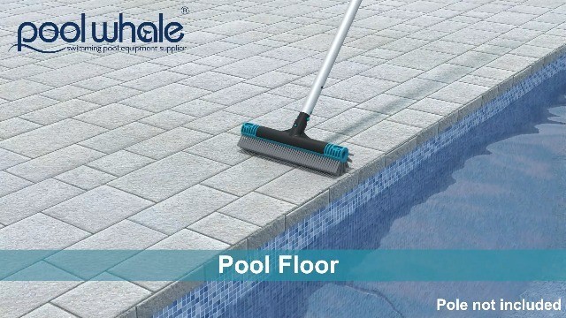 20&Prime; Detachable Pool Brush Head with Durable Nylon Bristles & EZ Clip Handle – Cl