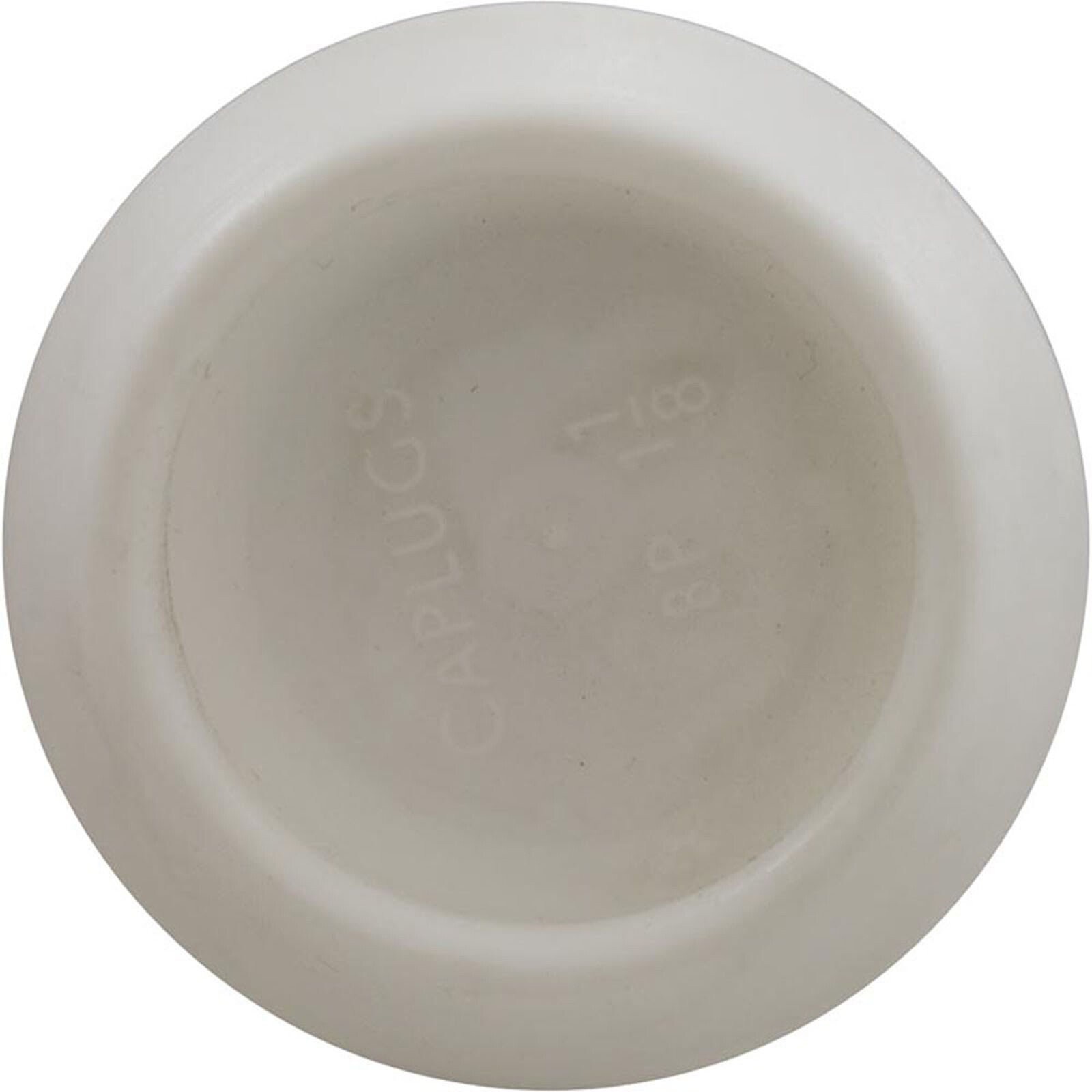 Plug, Aqua Products, 1-1/8&Prime;, White