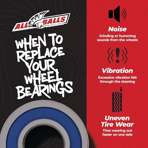 Rear Wheel Bearing Kit (25-1252)