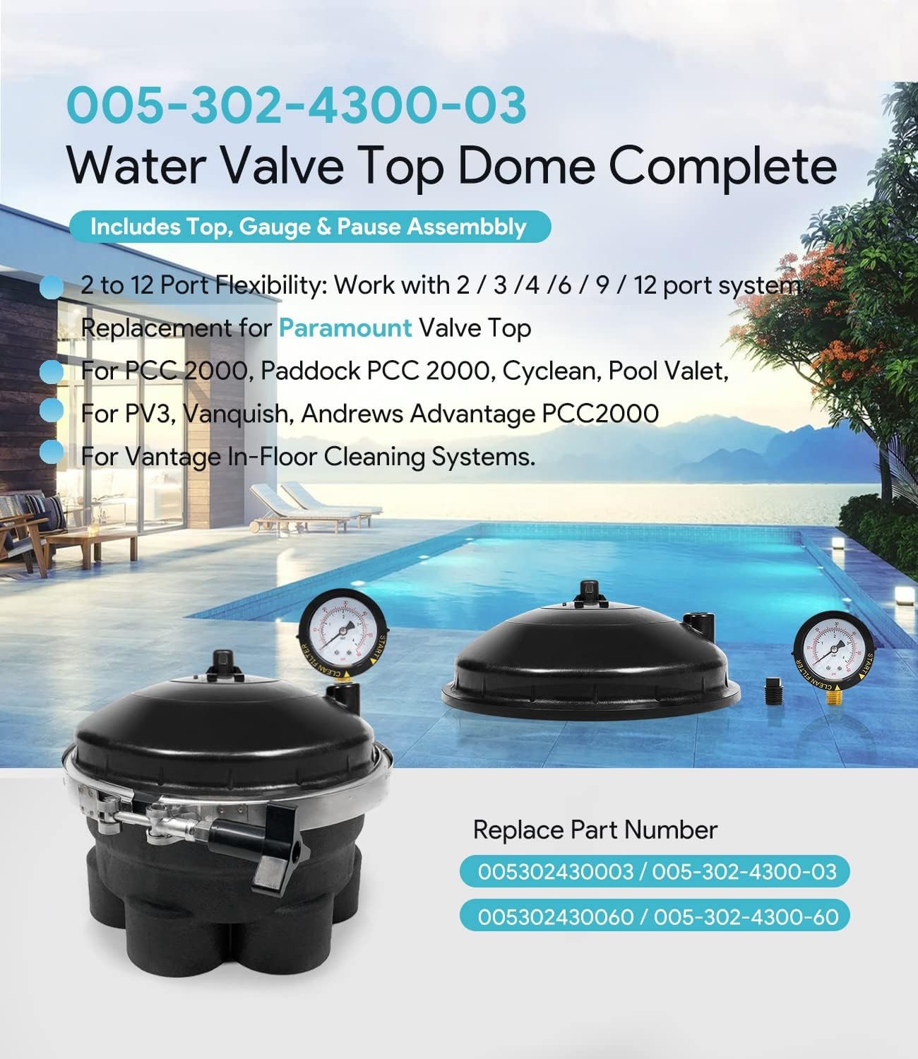 Replacement for Paramount Water Valve Top Dome Complete Assembly 005-302-4300-03