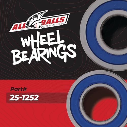Rear Wheel Bearing Kit (25-1252)