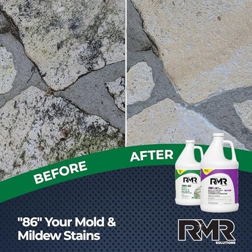Mold Remover Bundle – Complete Mold Killer & Stain Remover Kit, 2×1 Gallon Disin