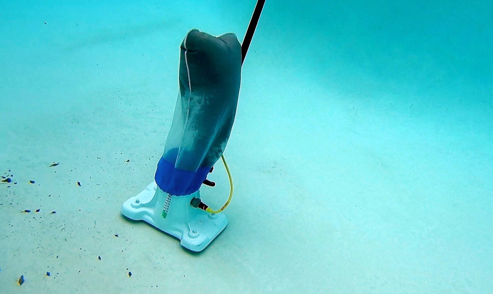 Replacement pool vacuum bag for Bottom Feeder, Riptide, Hammerhead, Power Vac