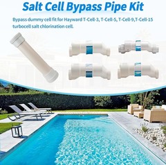 Hayward T-Cell Salt System Cleaning & Bypass Stand