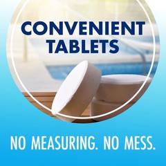 Swimming Pool Maintenance Tablets, 1 Pack, 24 Count