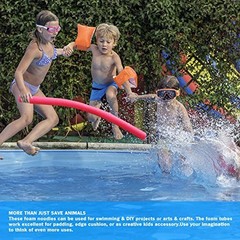 Animal Saving Escape Ramp with Pool Surface Skimmer Catcher, American Flag