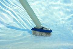 5-Inch Stainless Steel Pool Algae Detail Brush, Heavy-Duty Aluminum Back, for Gu