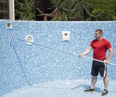 Premium Aluminium Swimming Pool Cleaning Brush Head Heavy Duty Wall Floor In USA