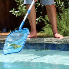 Leaf Skimmer with 48&Prime; Adjustable Aluminum Telescopic Pole