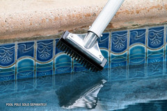 5-Inch Stainless Steel Pool Algae Detail Brush, Heavy-Duty Aluminum Back, for Gu