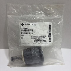 NEW 236343 Cleaning Head Pentair Water Pool And Spa Grey