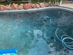 Dolphin Premier Pool Robotic Pool Vacuum