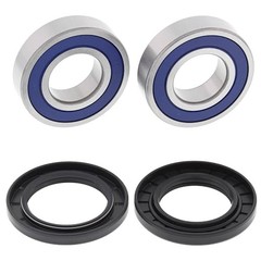 Racing 25-1732 Wheel Bearing Kit Compatible with/Replacement for Odes 800 2