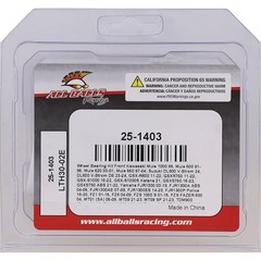 Racing 25-1403 Wheel Bearing Seal Kit Compatible with/Replacement for