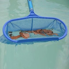 Pool Skimmer Net Heavy Duty Leaf Rake Cleaning Tool Fine Mesh Net Bag Catcher