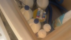 Pool Supplies