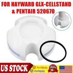 520670 GLX-CELLSTAND Cleaning Stand Cap For Pentair Intellichlor Cell USA
