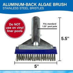 5-Inch Stainless Steel Pool Algae Detail Brush, Heavy-Duty Aluminum Back, for…