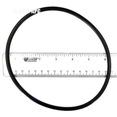 Hayward Leaf Canister O-Ring for W530 and W560 AXW542