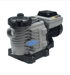BLUE TORRENT 2 HP VARIABLE SPEED IN GROUND POOL PUMP P/N: BT IGV200