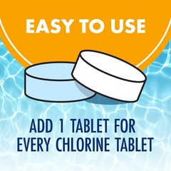 Swimming Pool Maintenance Tablets, 1 Pack, 24 Count