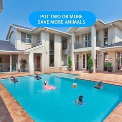 Animal Saving Escape Ramp with Pool Surface Skimmer Catcher, American Flag