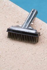 20178 Aluminum-Back Swimming Pool Algae Brush with 5-Inch Steel Brush67
