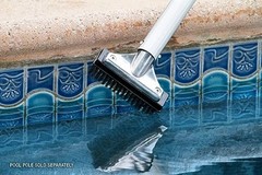 Stainless Steel Pool Algae Detail Brush, Heavy-Duty 5-Inch Steel Brush