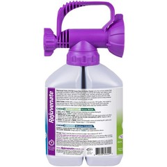 Rejuvenate Dual System Outdoor Window Cleaner & House 32 Fl Oz (Pack of 2)